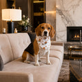 Blue Beagle Pet Bandana | Soft One-Sided Print